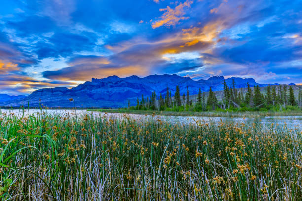istock Jasper National Park in Alberta Canada 1126360566