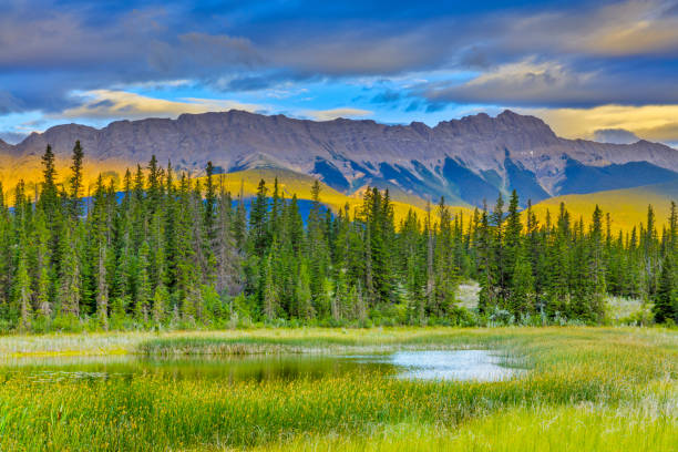 istock Jasper National Park in Alberta Canada 1126360622