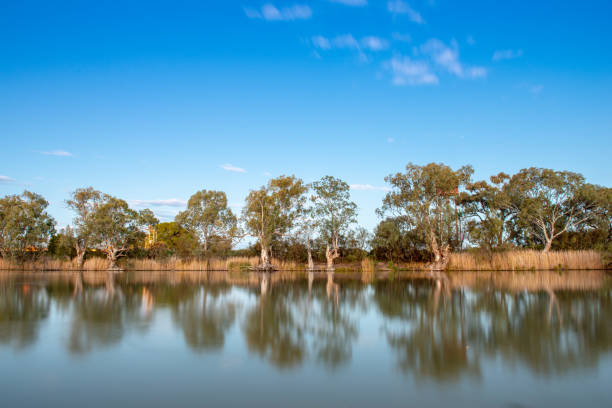 istock Darling River, Wentworth, Outback New South Wales, Australia 1126364152