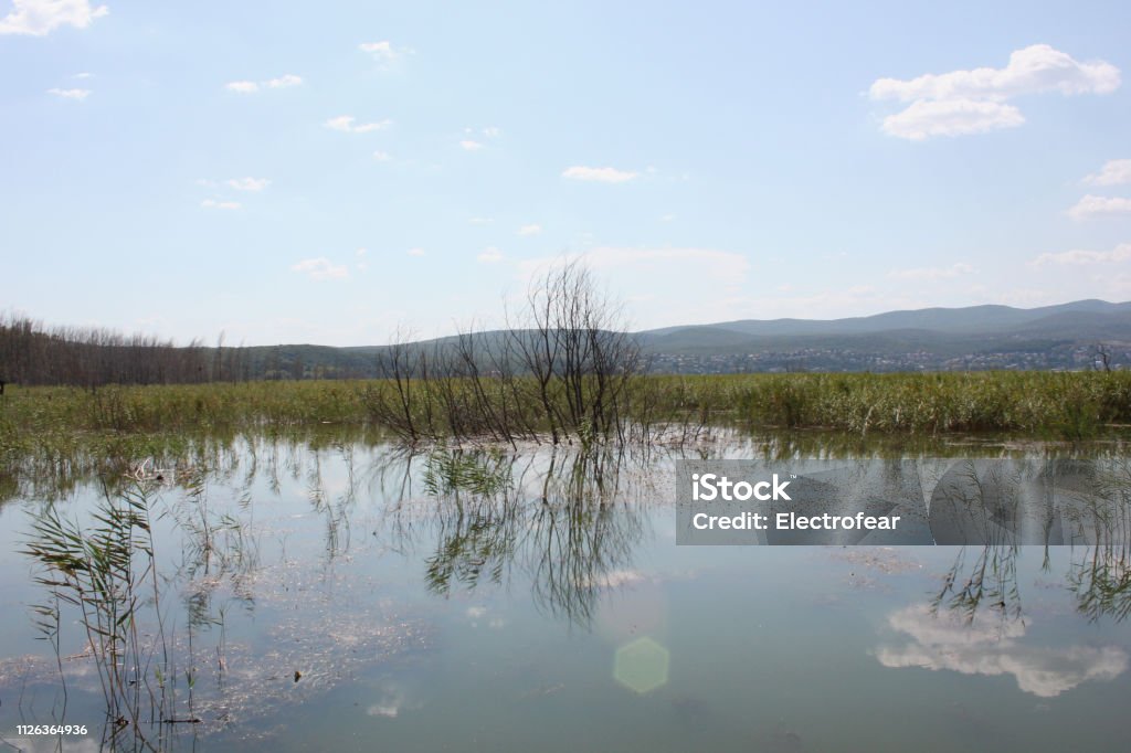 Lake of Doirani Kilkis Greece Europe Abandoned Stock Photo