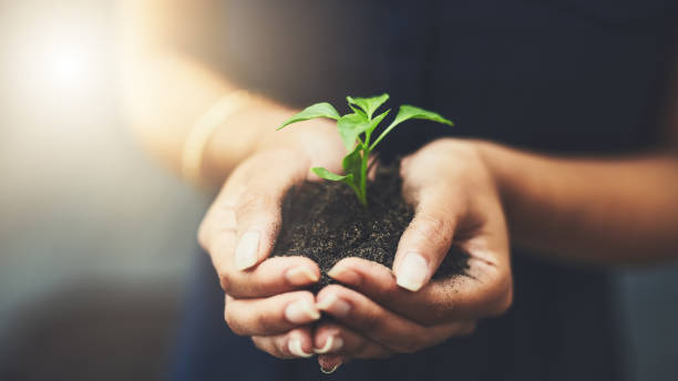istock To grow is to live 1126371431