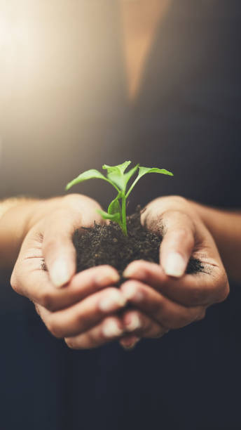 istock Who knows where you will grow 1126371433