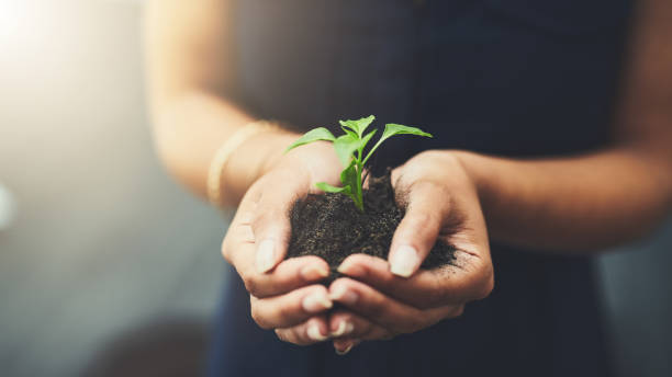 Protect what belongs to the earth