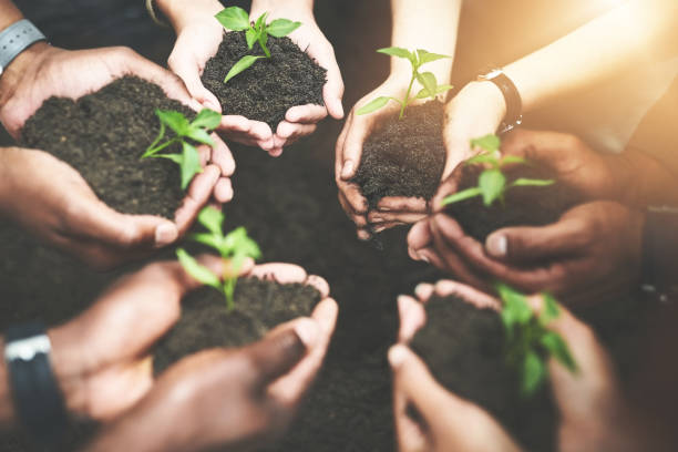 istock Growth is the essence of life 1126371634