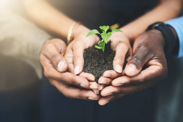 istock Teamwork is the secret to growth 1126371638