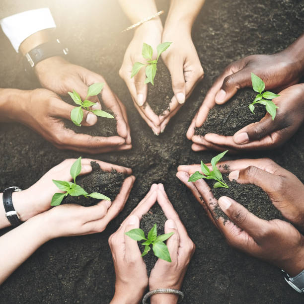 istock Growth is in the hands of humanity 1126371746