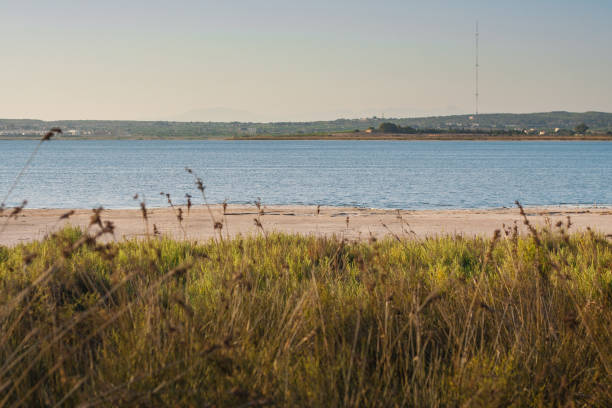 istock Nature Reserve in the National Park 1126373138