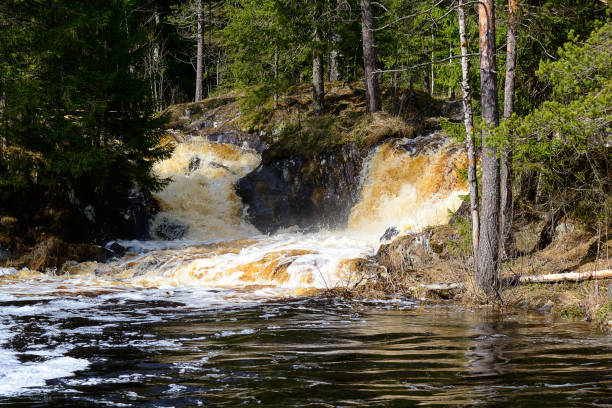 istock Waterfall in the coniferous forest, Karelia, Russia 1126374690