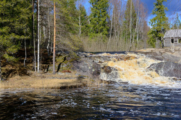 istock Waterfall in the coniferous forest, Karelia, Russia 1126374696