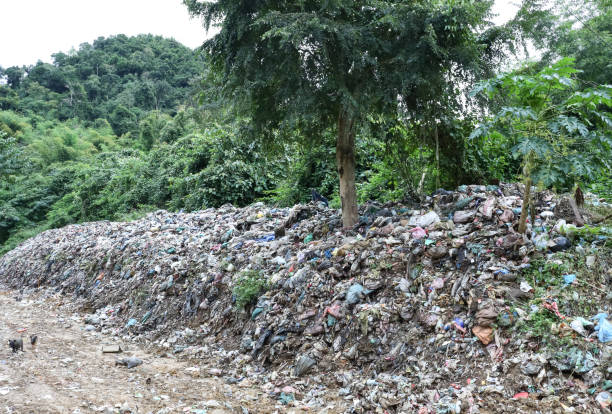 istock Garbage pile in trash dump or landfill. Plastic bags, plastic bottles and other waste dumped in beautiful jungle forest near Nong Khiaw in northern Laos 1126375150