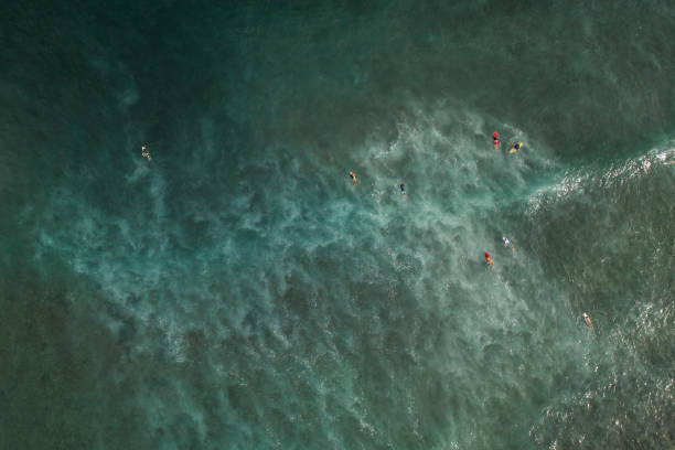 istock Surfers waiting for wave in Bali, Nusa Dua 1126379107