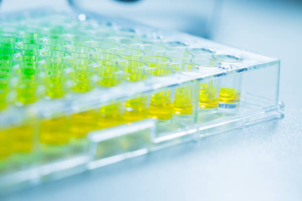 Close - up of 96 well plates on lab table with Green and yellow liquid samples stock photo