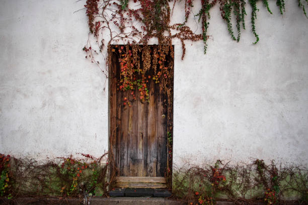 istock Ancient Chinese ancient wood door 1126381334