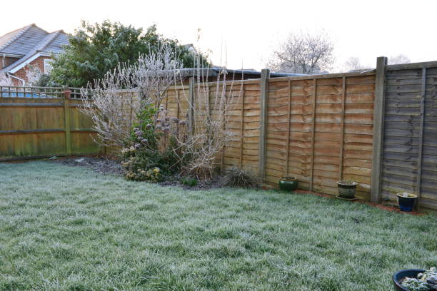 istock Frozen morning in January in the UK 1126381401