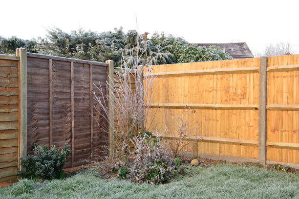istock Frozen morning in January in the UK 1126382188