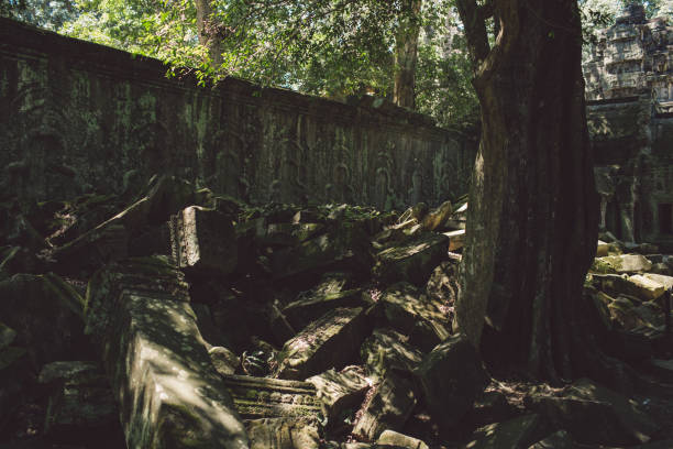 istock View Of Wooden Logs By Trees In Forest 1126386769