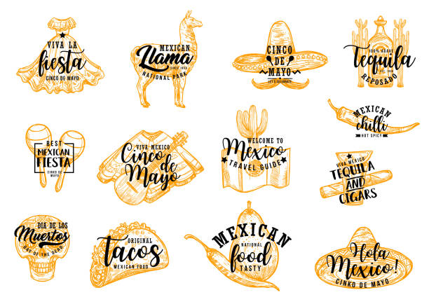 Cinco de Mayo Mexican sombrero, cactus and tequila Cinco de Mayo Mexican holiday fiesta party vector icons with lettering. Chili pepper, tequila margarita and maracas, sombrero hat, food and guitar, cactus, skull and costume sketches maraca stock illustrations