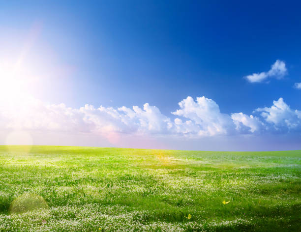istock spring landscape background; spring flowering and blue sunny sky 1126389415