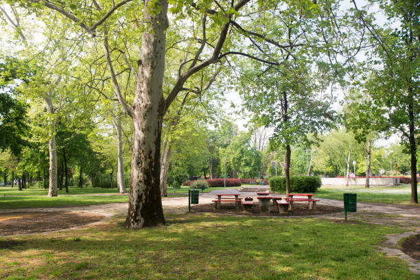 istock Margaret island, Budapest, Hungary 1126390073