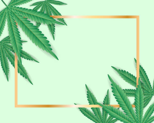 ilustrações, clipart, desenhos animados e ícones de folha de maconha cannabis erva com moldura ouro fundo - vetor - sensory perception backgrounds abstract concepts