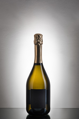 Still Life: Wine Bottles On Gray Gradient Background