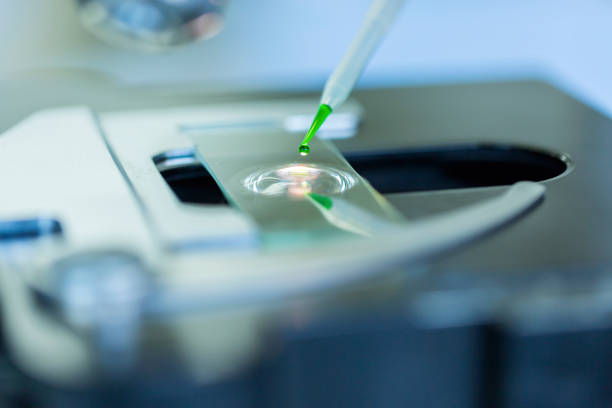 Scientist dropping chemical liquid on the slide at microscope, concept science and technology