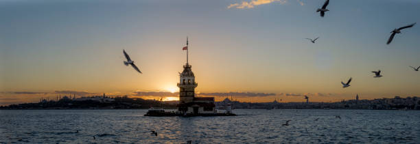 istock Mainden's Tower in Istanbul with Seagulls 1126397085