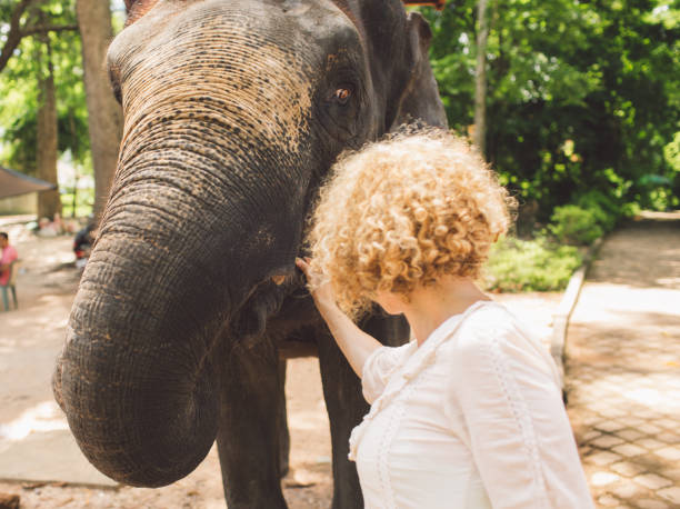 istock Woman Touching Elephant At Park 1126397873