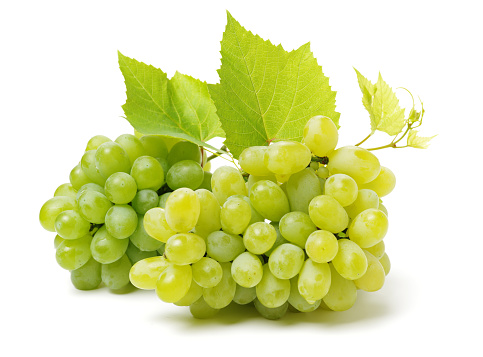 Isolated grapes. White and green grapes on the leaves. To the clipping pass. The full depth of the field