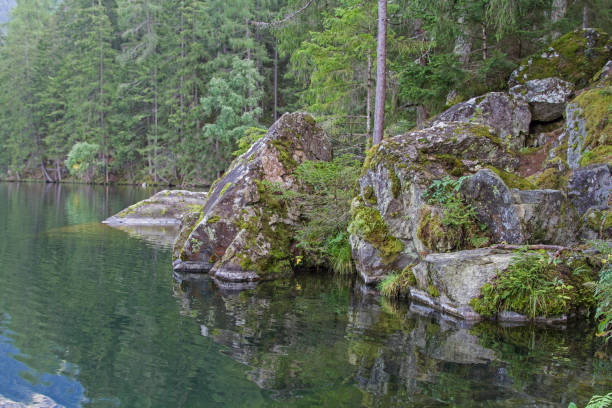 istock lake Piburg in Tyrol 1126398127