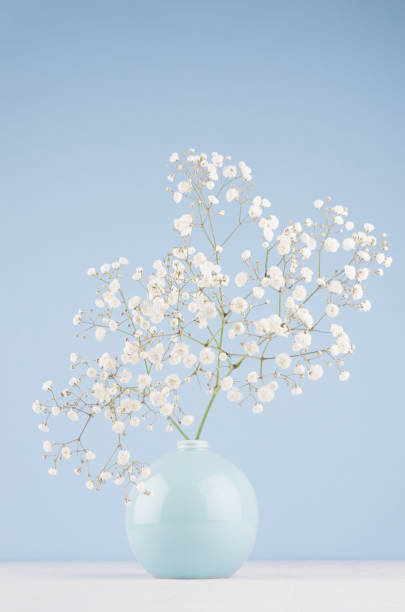 istock Spring bouquet of white small fluffy flowers in blue smooth circle ceramic vase on soft white wood table and pastel blue wall, vertical. 1126399105