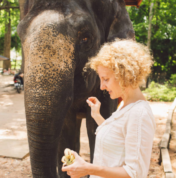 istock Woman Holding Bananas By Elephant 1126400577
