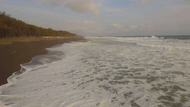 sandy beach near the ocean