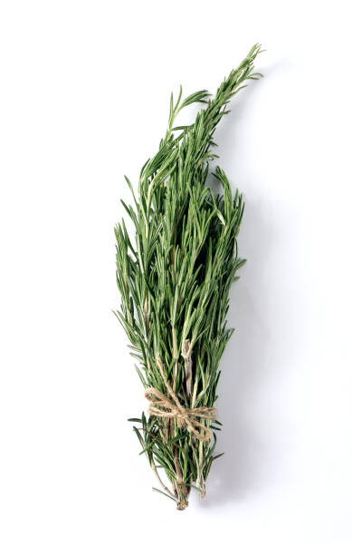 istock Rosemary isolated on white background, Top view. 1126404566