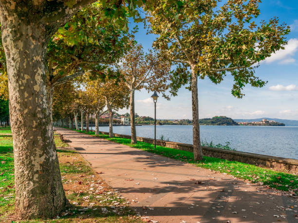 Along the lake with benches and trees in Marta on Lake Bolsena Along the lake with benches and trees in Marta on Lake Bolsena albero stock pictures, royalty-free photos & images