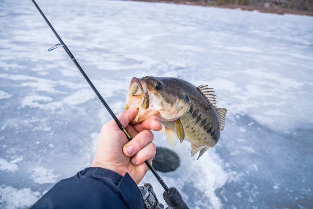ice fishing stock photo