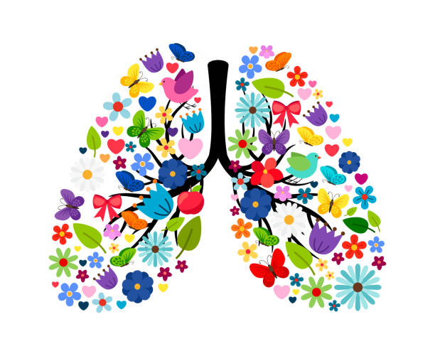 인간 폐의 모양에 봄 꽃과 나비 - human lung stock illustrations