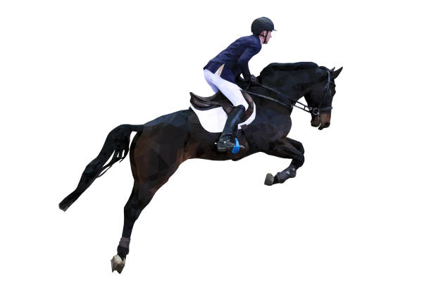 istock equestrian sport man rider on horse jumping 1126412714