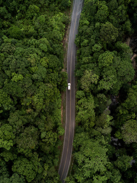 istock Road through the green forest, aerial view road going through forest. 1126412917