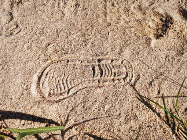 Shoe Print in the Sand