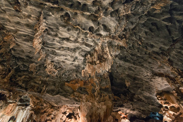 cueva de estalactitas en las cuevas de cango sudáfrica - dripstone fotografías e imágenes de stock