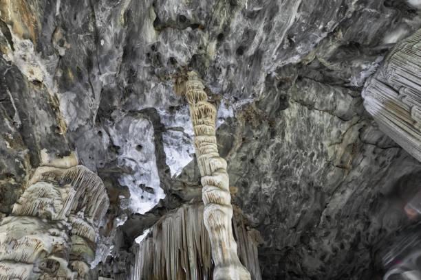 cueva de estalactitas en las cuevas de cango sudáfrica - dripstone fotografías e imágenes de stock