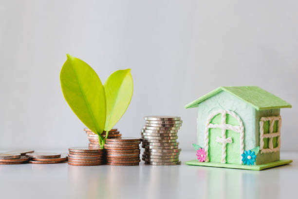 Leaf on pile coins with green vintage house