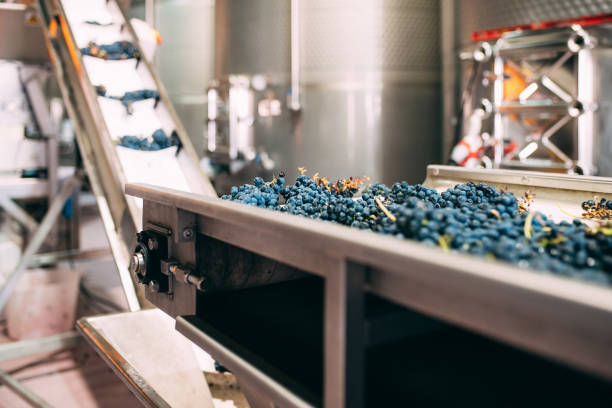 современная винная машина с виноградом - winery contemporary sparse fermenting стоковые фото и изображения