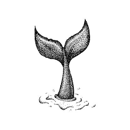 Dotwork Whale Tail. Vector Illustration of T-shirt Design. Tattoo Hand Drawn Sketch.