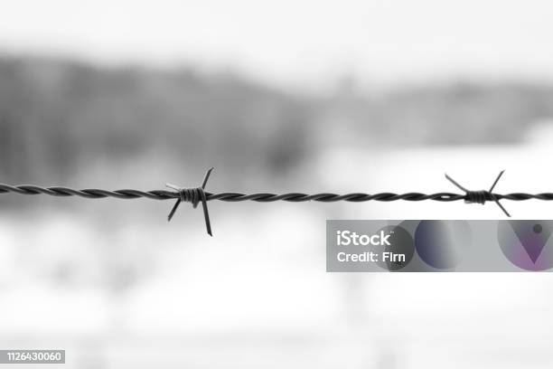 Close Up Of A Barbed Wire Fence On Blurry Background Stock Photo - Download Image Now