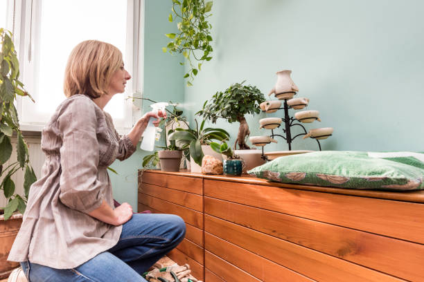 istock Woman Spraying Houseplants 1126432062