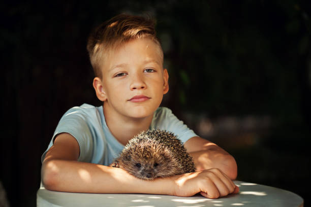 istock Child with pet. Boy and hedgehog looking at camera. 1126432737
