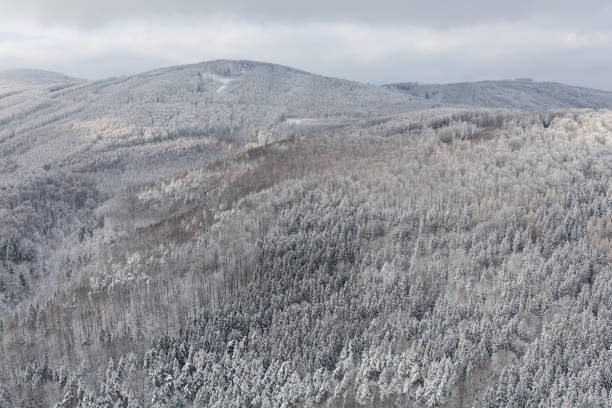 istock aerial view of the winter forest 1126432826