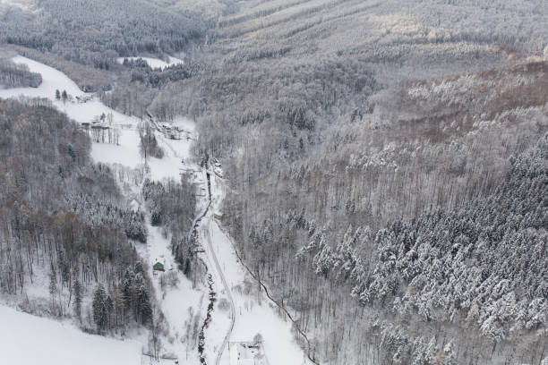 istock aerial view of the winter forest 1126432953
